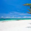 Лучшие пляжи Мексики: обзор, особенности, интересные факты и отзывы